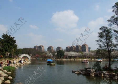 上海植物园图片