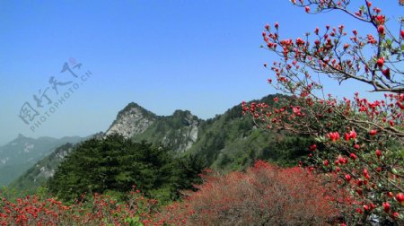 麻城龟峰山风景图片