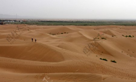 通湖草原沙漠图片