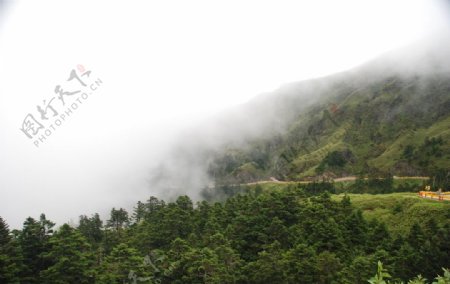 台湾武岭起雾图片