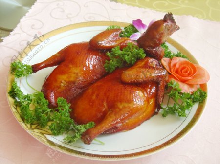 广州红子鸡图片