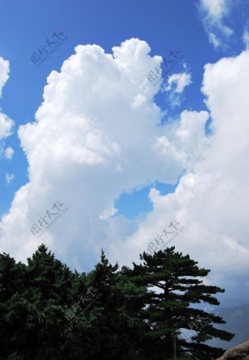 黄山之白云图片
