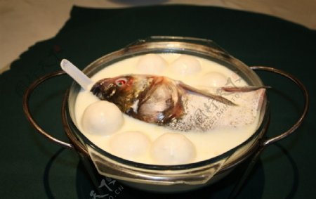 菜团鱼头汤图片