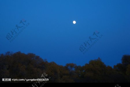夜晚的月光图片