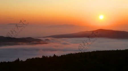 雾海朝阳图片