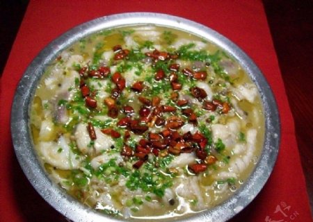 重庆酸菜鱼图片
