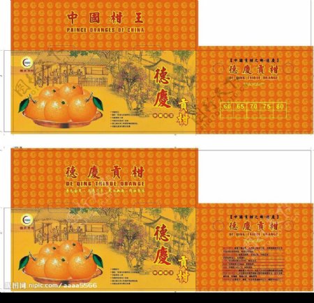 中国柑王图片