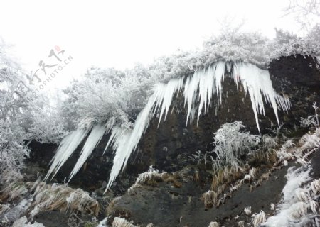 梵净山雪景图片