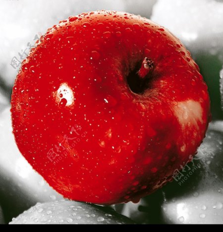 美丽红苹果图片