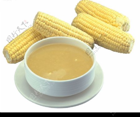 玉米农汤图片