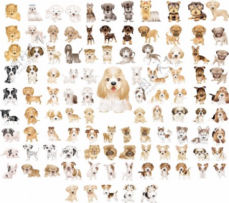 105款宠物狗矢量素材图片