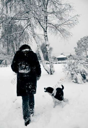 冬天人与狗图片