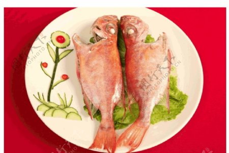 红目鳞鱼饭图片