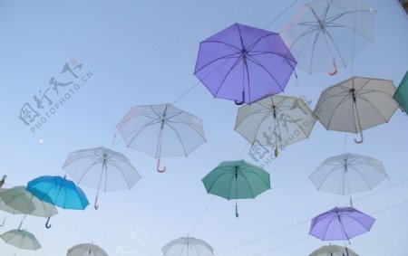 雨伞天堂图片