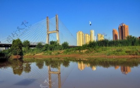 大桥河景图片