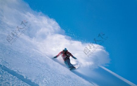 极限运动滑雪图片