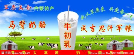 草原美食牛初乳图片
