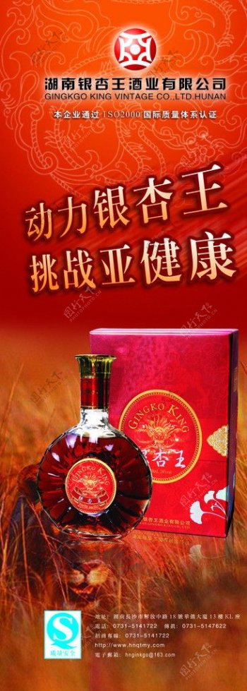 银杏王酒易拉宝图片