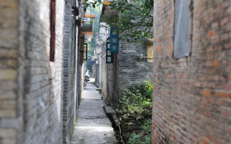 村中小巷图片