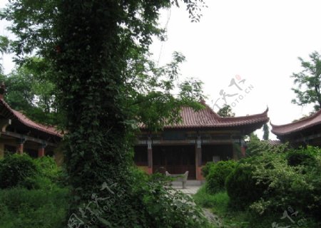 南京龙王山图片