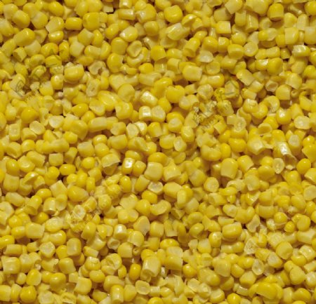 玉米食物粮食图片
