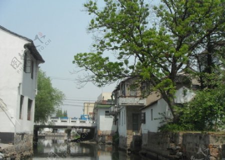 金泽古镇图片