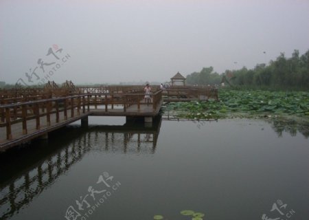 河南淮阳木桥图片