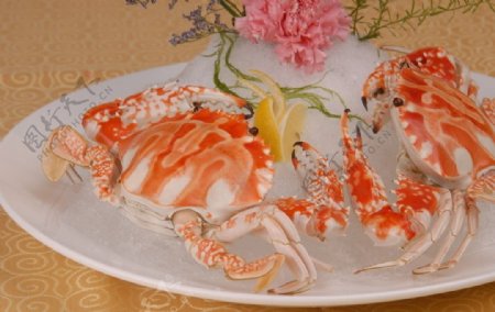 潮式冻红蟹图片