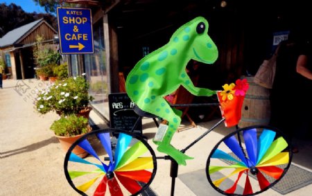 青蛙骑车图片