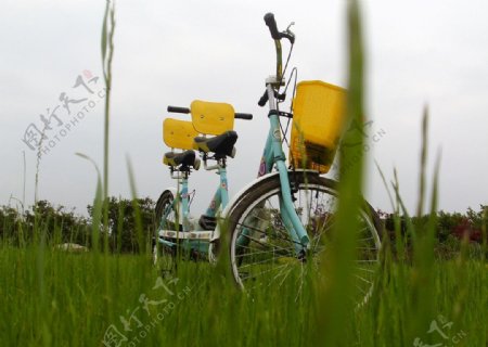 草地单车图片