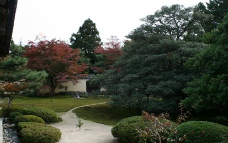 京都庭园图片