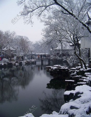 拙政園之冬图片
