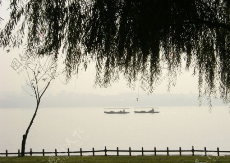 泛舟西湖图片