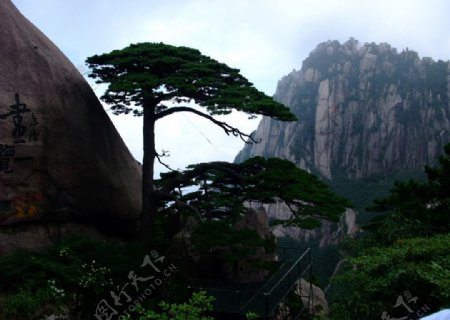 黃山風情图片