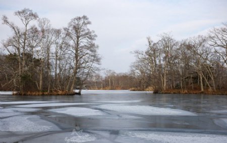 冰結之湖面图片