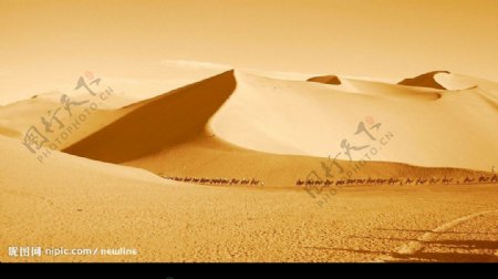 黃沙中的駝隊图片