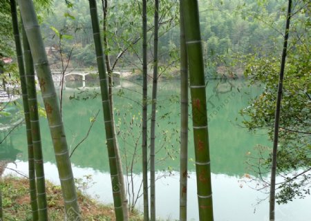 宜兴竹湖图片