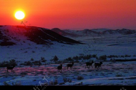 新疆自然景观图片