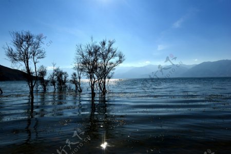 洱海湖边图片