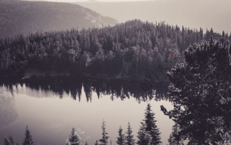 森林湖泊美景图片