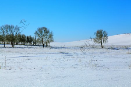 雪地风景图片