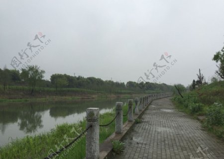 江滨公园图片