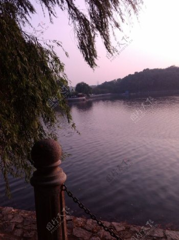 公园湖湖水甘棠湖图片