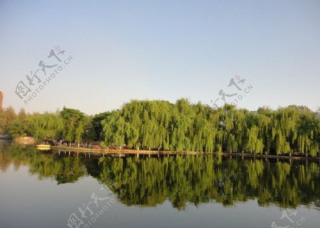 翠湖春景图片