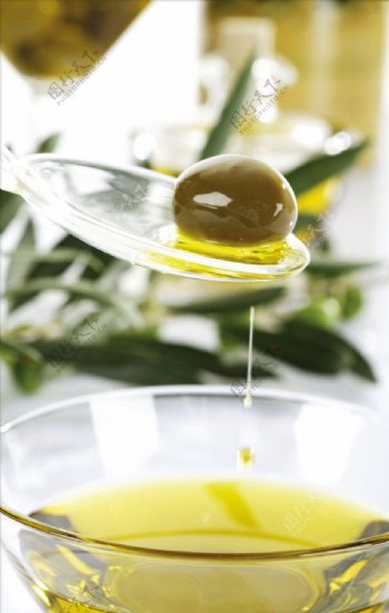 橄榄油系列图片