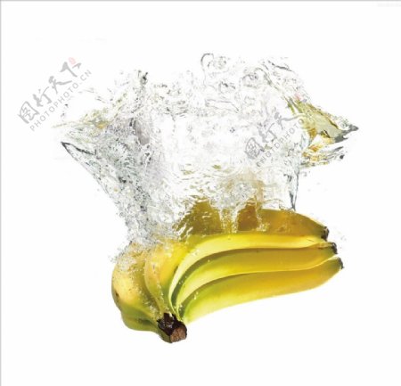 水中的香蕉图片