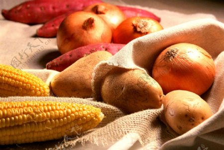 玉米洋葱红薯土豆图片