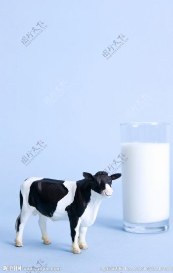 鲜牛奶图片