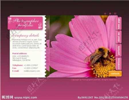 花卉网站图片