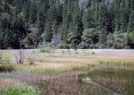 四川九寨沟图片